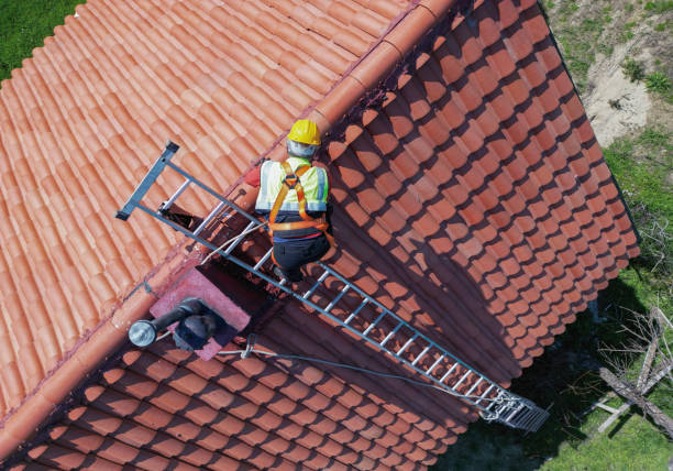 Best Roof Coating and Sealing  in Rochester, MN