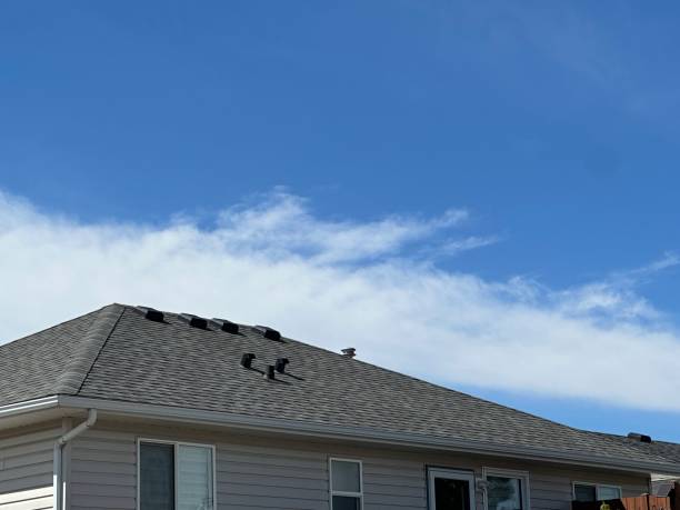 Best Sheet Metal Roofing  in Rochester, MN